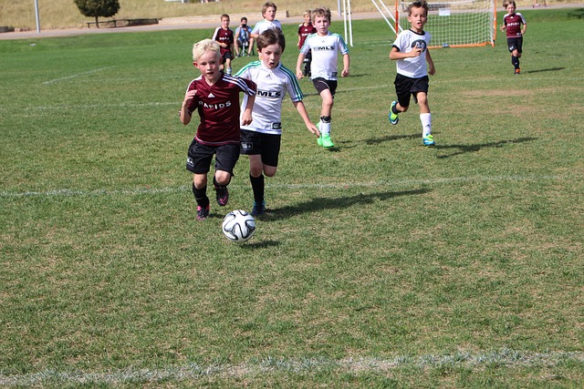 雄心与实力 雄心与实力