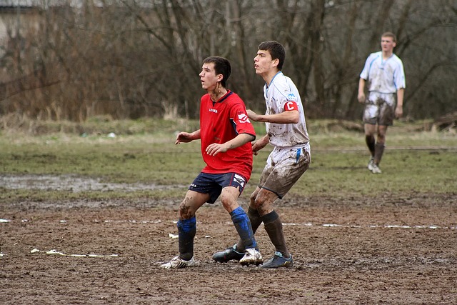 季的整体防 季的整体防