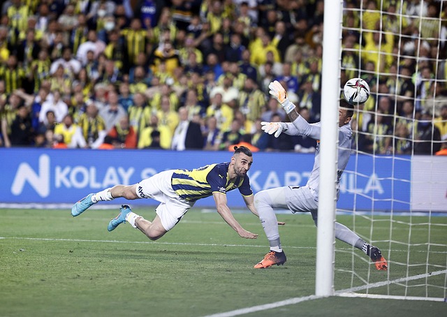 崭露头角 崭露头角