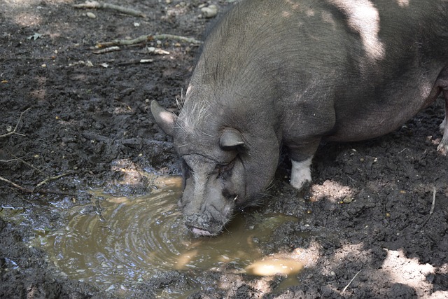 中的磨合 中的磨合