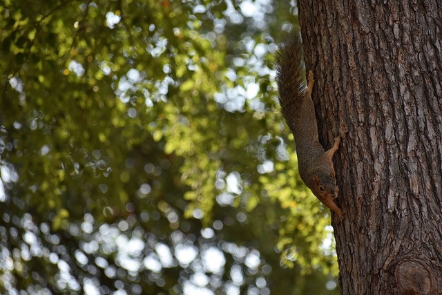 也從側面佐 也從側面佐